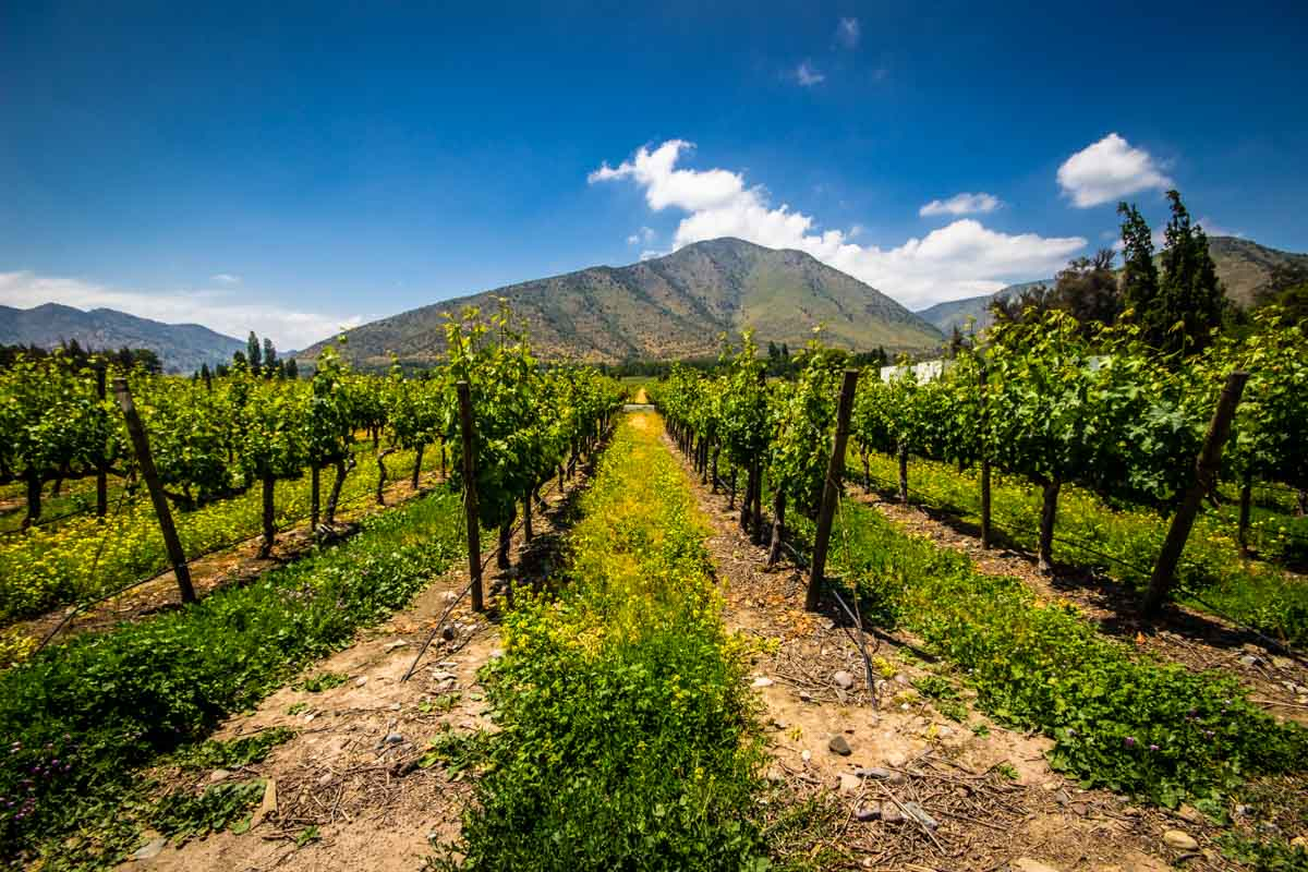 imagem_2024-06-05_103056041