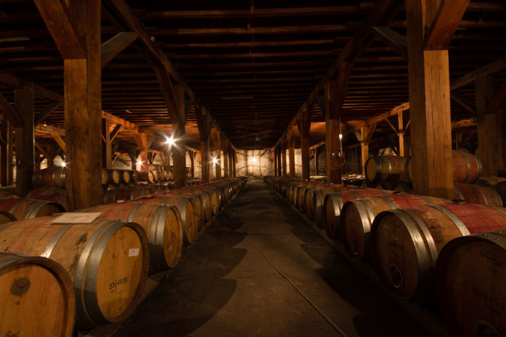 imagem_2024-06-05_103131821