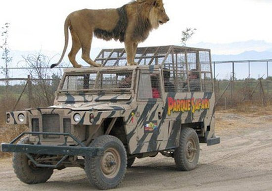 imagem_2024-06-05_103558544