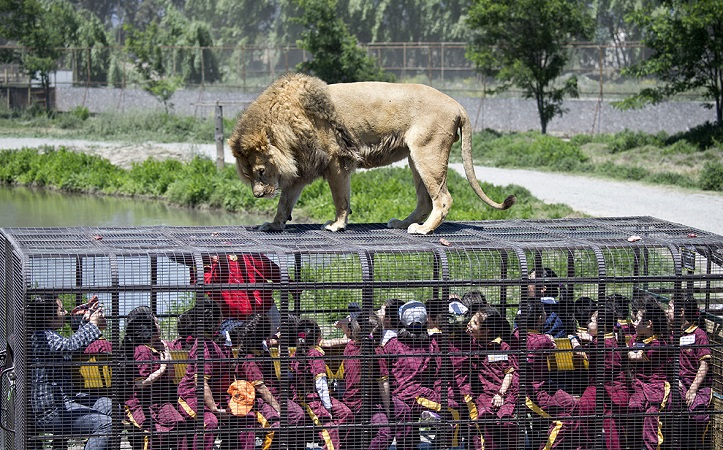 imagem_2024-06-05_103606599