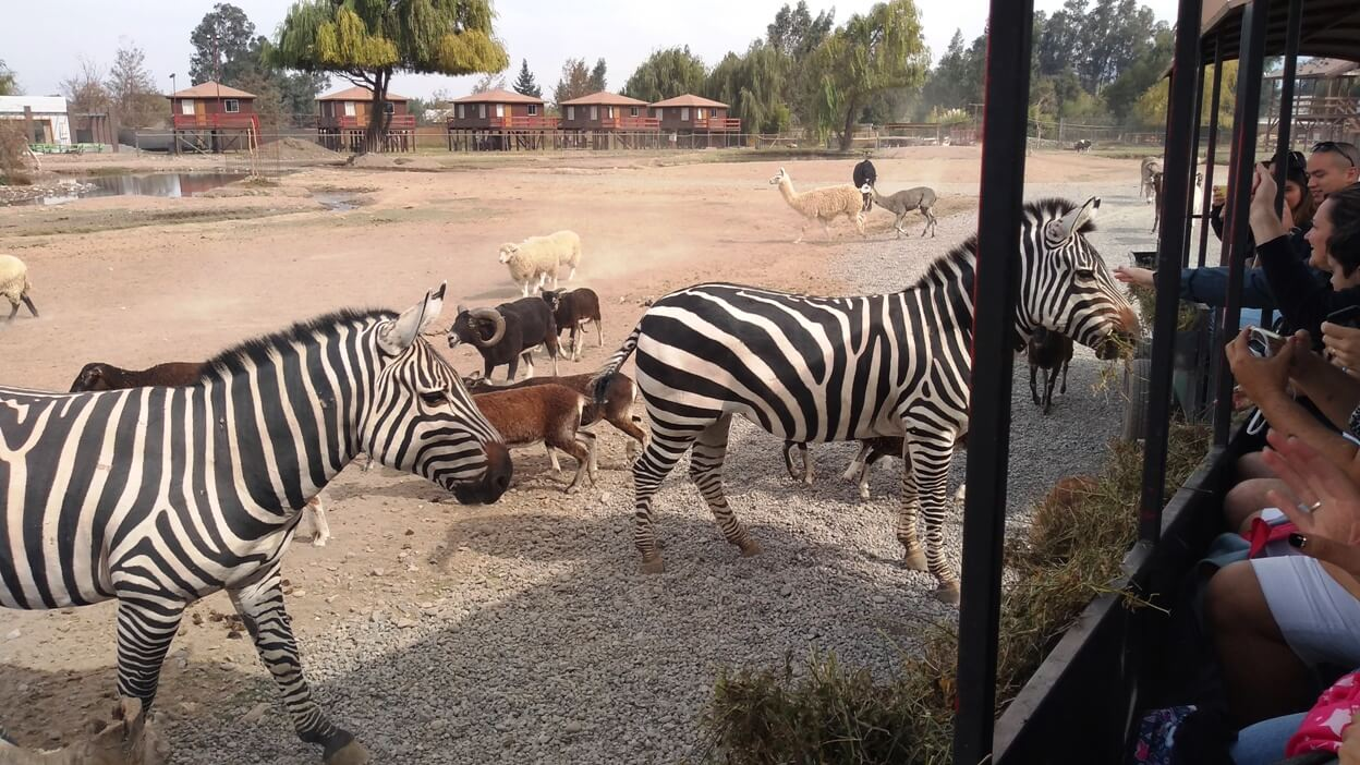 imagem_2024-06-05_103616718