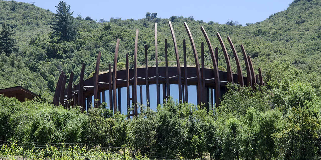 Clos-Apalta-Winery-Colchagua-Chile-2019-1