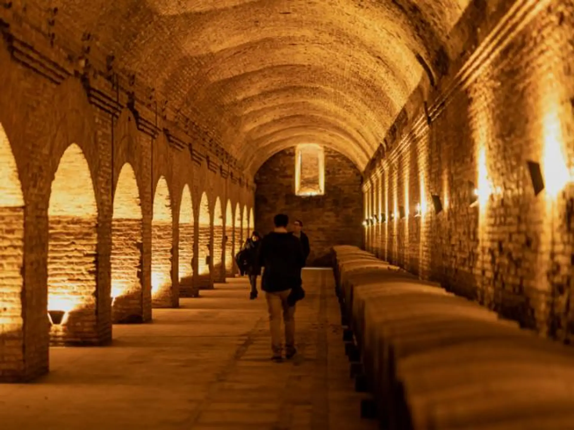 large_Tour_Vinedo_Cousino_Macul_84dd4278d9